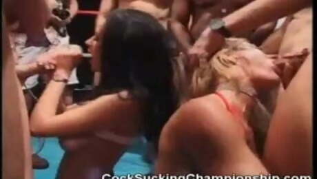 Cock Sucking Championships Amber Michaels vs Nikita Denise