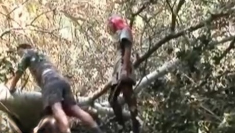 Anal rape in the forest